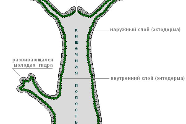 Кракен тор зеркало